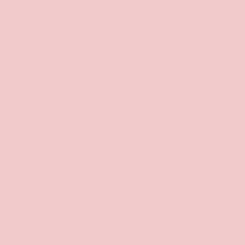Rose Pink - SW 9693